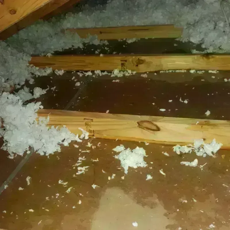 Attic Water Damage in Betances, PR